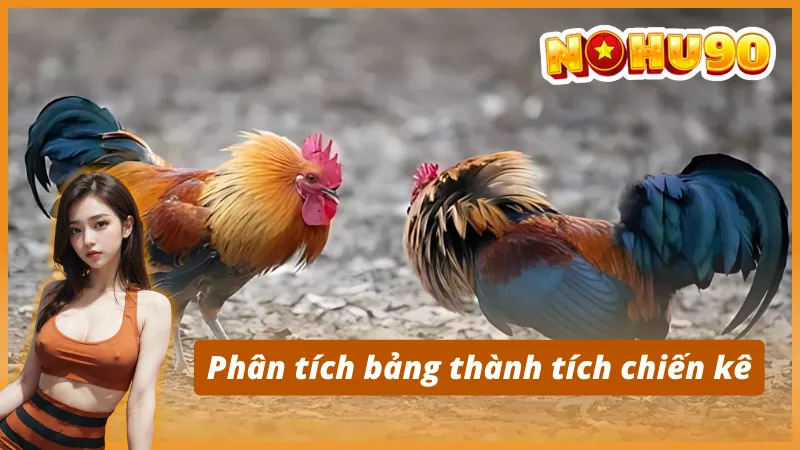 Bí quyết chơi đá gà trực tuyến Nohu90 dễ thắng nhất