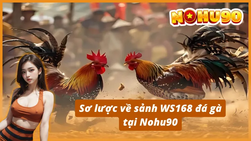 Sơ lược về sảnh WS168 đá gà tại Nohu90