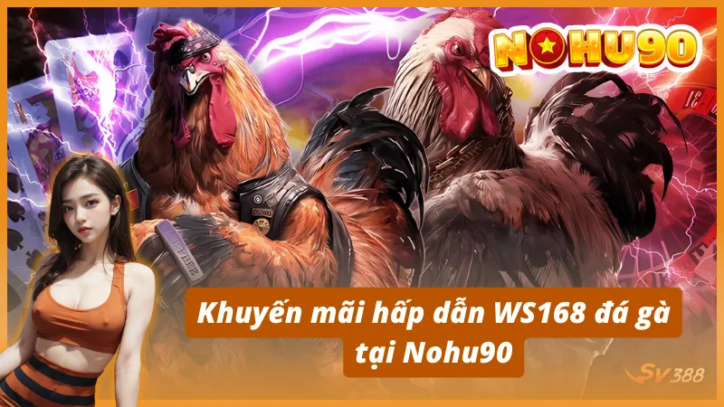 Khuyến mãi hấp dẫn WS168 đá gà tại Nohu90