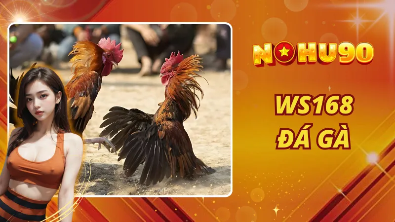 WS168 Đá Gà
